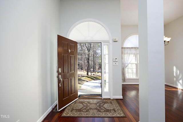 foyer with plenty of natural light and dark hardwood / wood-style floors