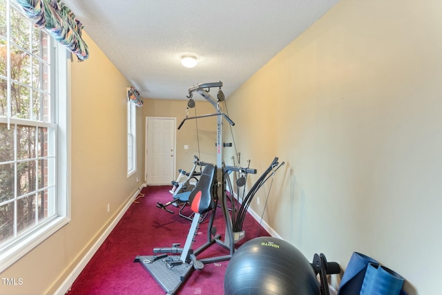 exercise room with a textured ceiling, carpet floors, and plenty of natural light