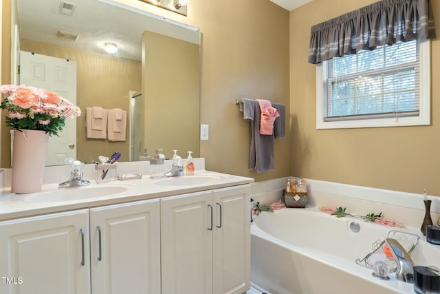 bathroom featuring vanity and a bathing tub