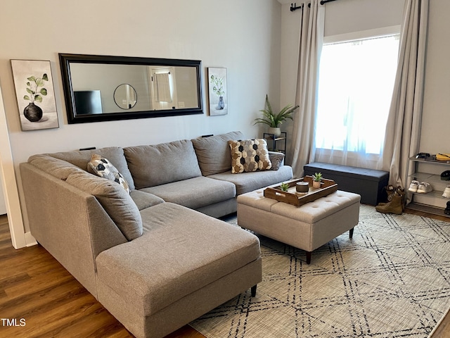 living room featuring hardwood / wood-style floors