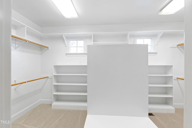 spacious closet featuring light carpet