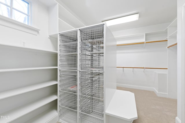 spacious closet with carpet