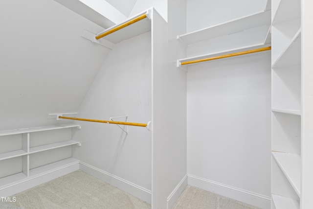 spacious closet featuring light carpet