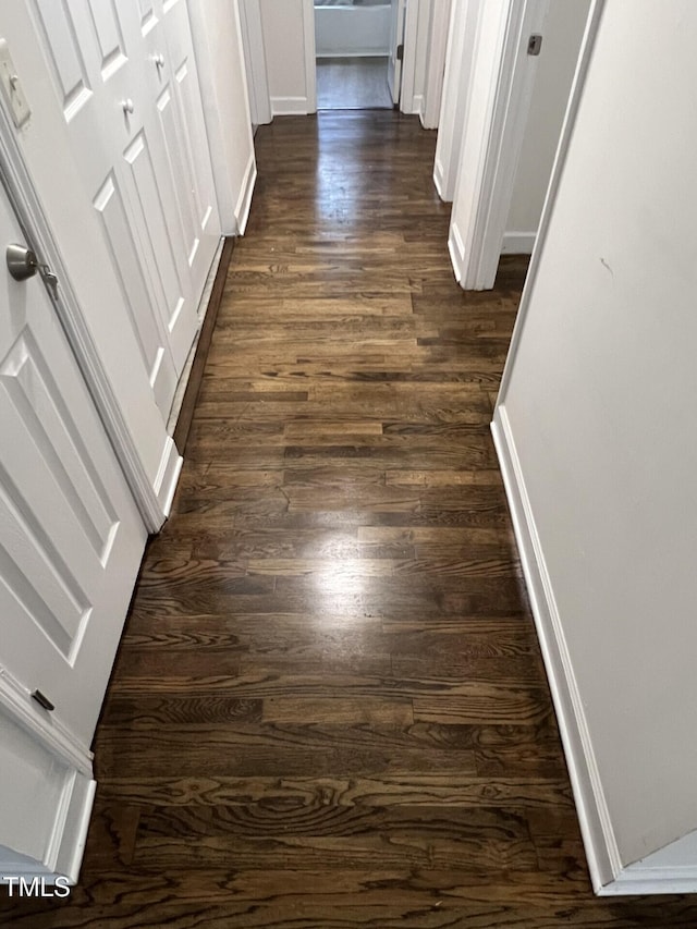 corridor with dark hardwood / wood-style floors