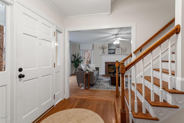 entryway featuring ceiling fan, ornamental molding, a fireplace, and hardwood / wood-style flooring