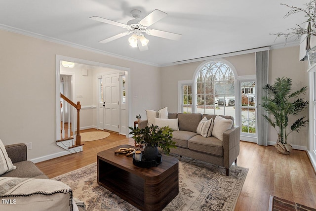 living room with ceiling fan, light hardwood / wood-style floors, and crown molding