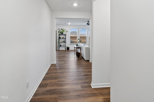 hallway featuring dark hardwood / wood-style floors