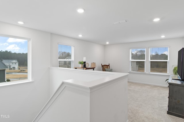 interior space with light colored carpet