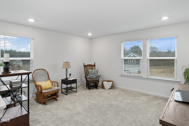 living area with light carpet