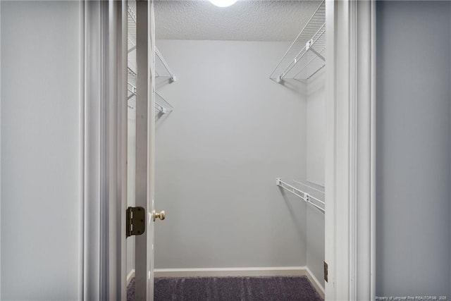 walk in closet with carpet flooring