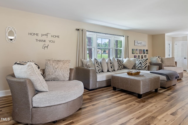 living room featuring hardwood / wood-style flooring