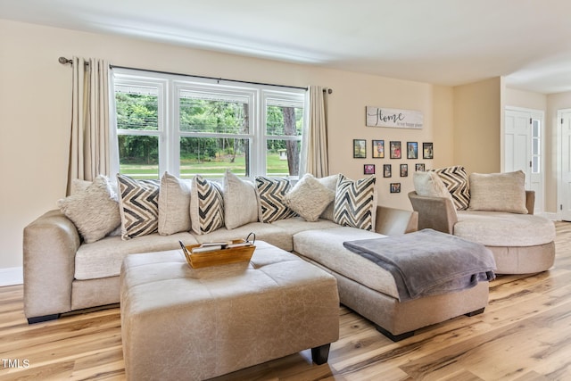 living room with a healthy amount of sunlight and light hardwood / wood-style floors