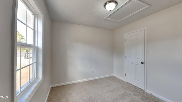 spare room featuring light carpet