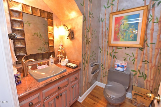 bathroom featuring vanity, wood-type flooring, and toilet