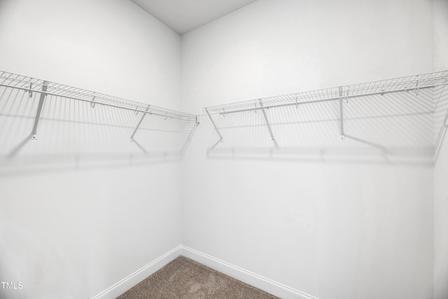 spacious closet with carpet