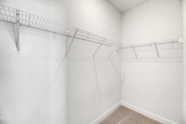 spacious closet with light colored carpet