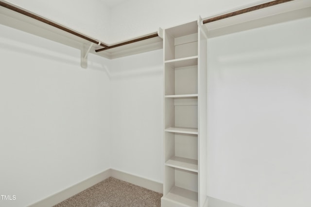 walk in closet featuring carpet