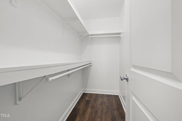 walk in closet with dark hardwood / wood-style flooring