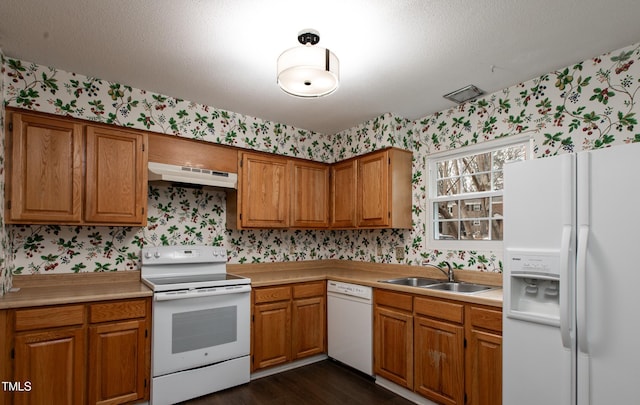 kitchen featuring sink, dark hardwood / wood-style flooring, white appliances, and ventilation hood