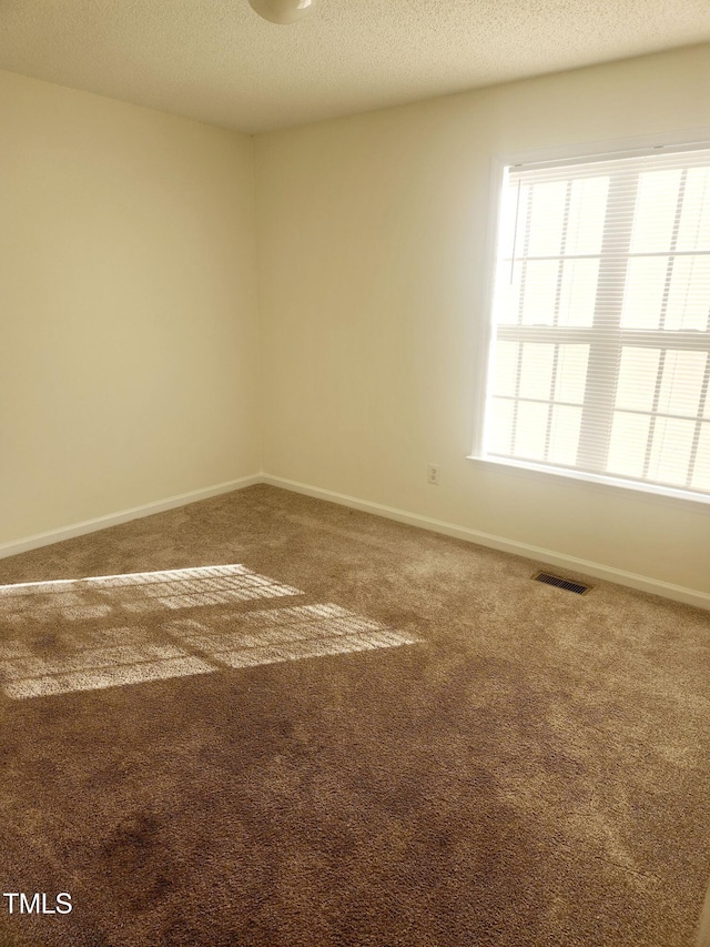 unfurnished room featuring carpet flooring and a textured ceiling