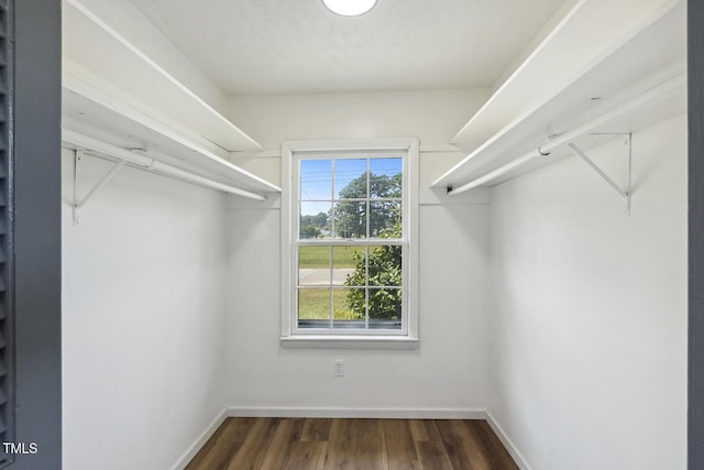 walk in closet featuring dark hardwood / wood-style flooring