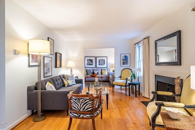 living room featuring light hardwood / wood-style floors