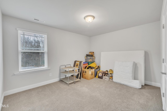 playroom with carpet flooring