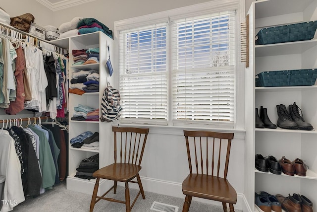 walk in closet featuring carpet floors