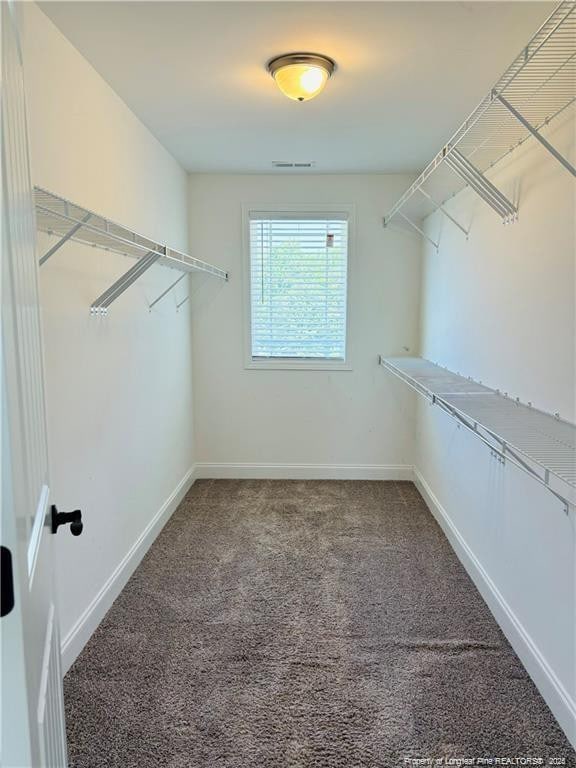 walk in closet with carpet flooring