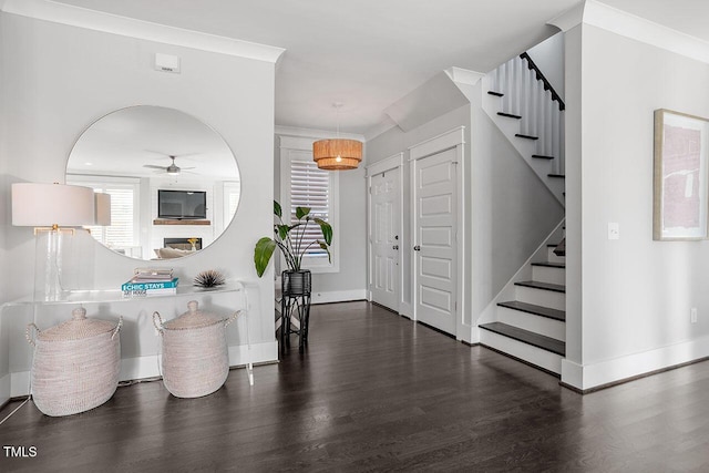 entryway with dark hardwood / wood-style flooring, ornamental molding, and ceiling fan