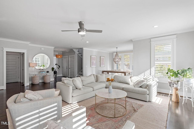 living room with ornamental molding and dark hardwood / wood-style floors