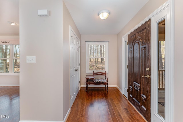 entryway featuring dark hardwood / wood-style flooring