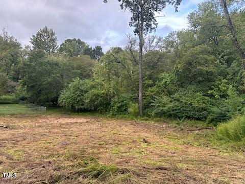 7205 Beaverwood Dr, Raleigh, NC 27616 - photo 12