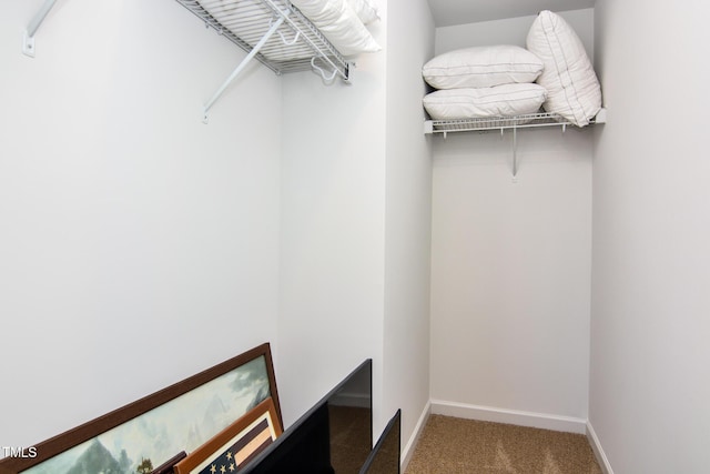 spacious closet featuring carpet floors