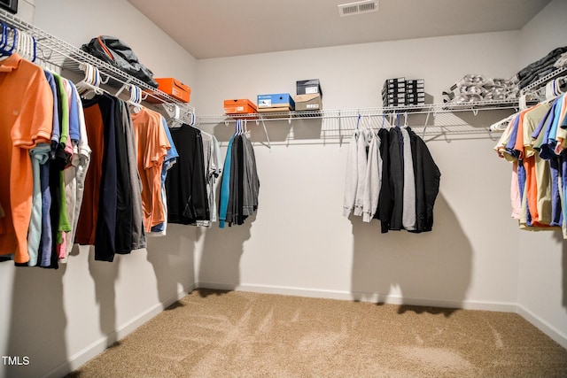 spacious closet featuring carpet floors