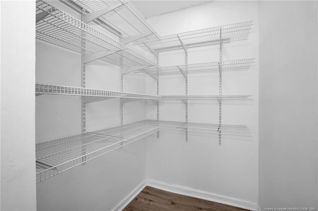 spacious closet featuring dark hardwood / wood-style flooring