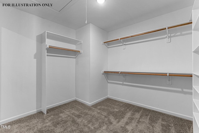 spacious closet featuring dark colored carpet