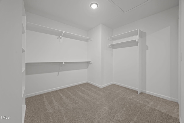 121 Tanglewood Dr Unit 8-J, Louisburg, NC 27549 - photo 17