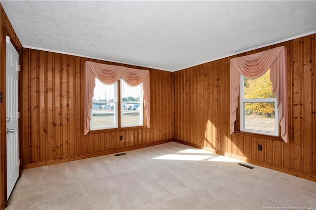 empty room featuring wood walls and light colored carpet