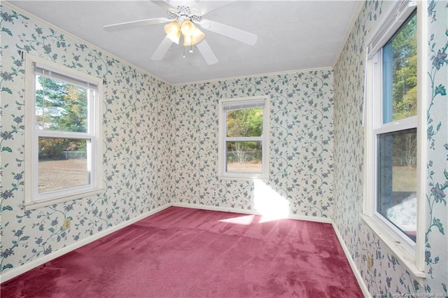 carpeted empty room with ceiling fan and ornamental molding