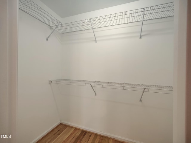 walk in closet featuring wood finished floors