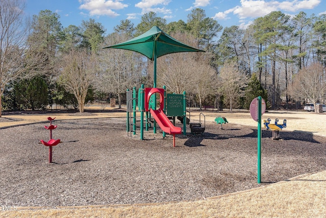 view of jungle gym