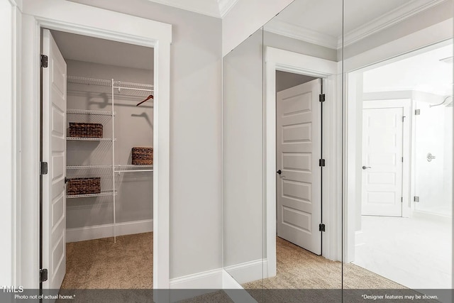 bathroom with ornamental molding