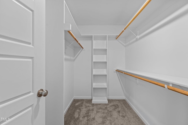 spacious closet with light colored carpet