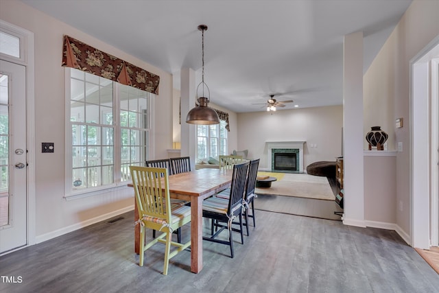 dining room featuring hardwood / wood-style floors, ceiling fan, and a premium fireplace