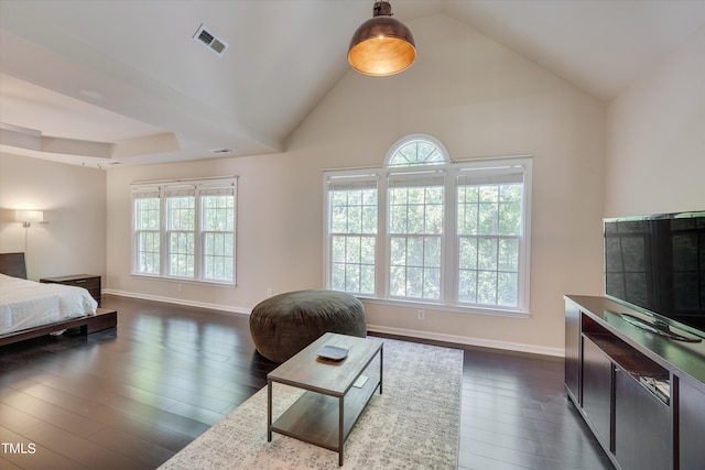 interior space featuring lofted ceiling, dark wood-type flooring, and multiple windows