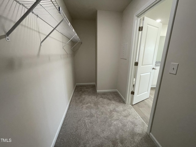 spacious closet featuring light colored carpet