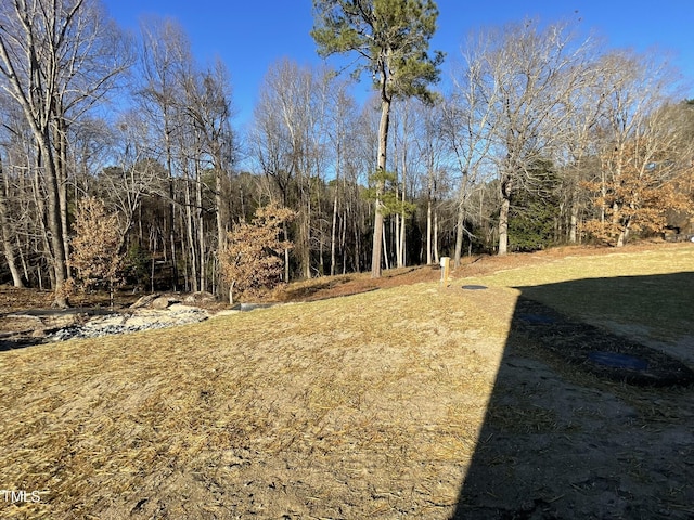 171 Wynd Crest Way, Benson, NC 27504 - photo 18
