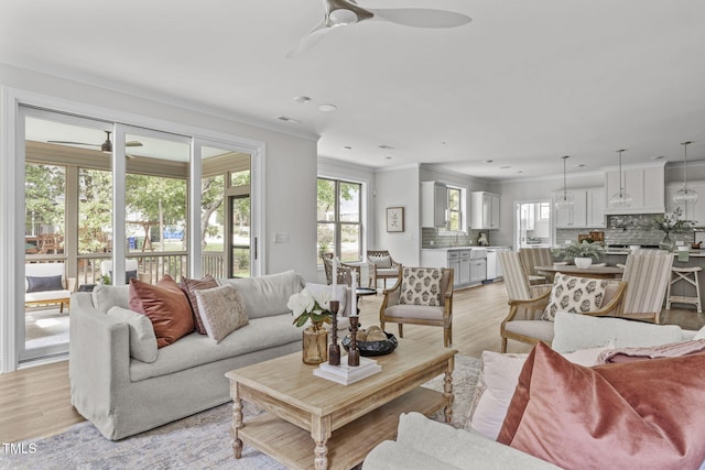 living area featuring ceiling fan, visible vents, ornamental molding, and light wood-style flooring