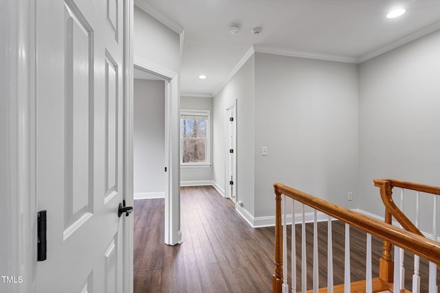 corridor featuring dark hardwood / wood-style floors and ornamental molding